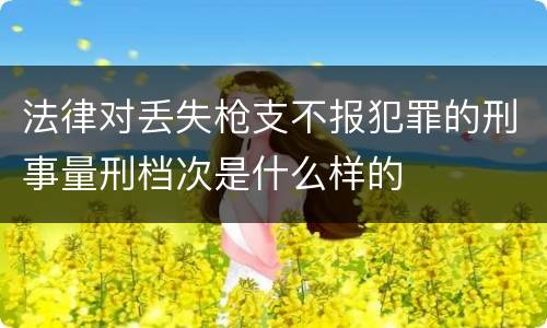 法律对丢失枪支不报犯罪的刑事量刑档次是什么样的