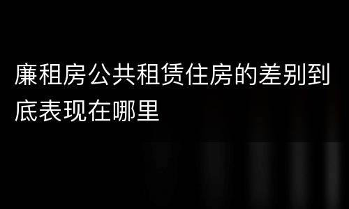 廉租房公共租赁住房的差别到底表现在哪里