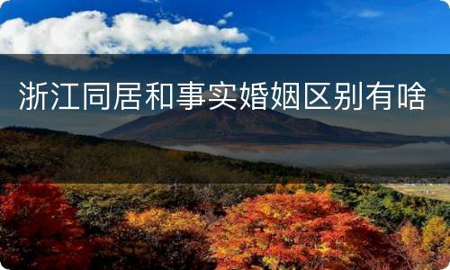 浙江同居和事实婚姻区别有啥