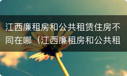 江西廉租房和公共租赁住房不同在哪（江西廉租房和公共租赁住房不同在哪里）