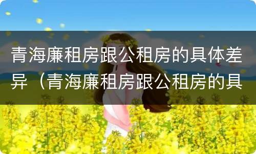 青海廉租房跟公租房的具体差异（青海廉租房跟公租房的具体差异是什么）