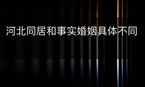 河北同居和事实婚姻具体不同