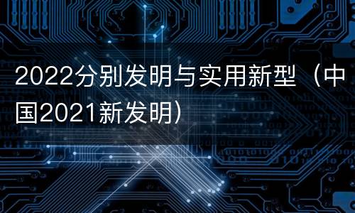 2022分别发明与实用新型（中国2021新发明）