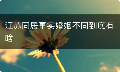 江苏同居事实婚姻不同到底有啥