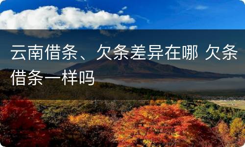 云南借条、欠条差异在哪 欠条借条一样吗