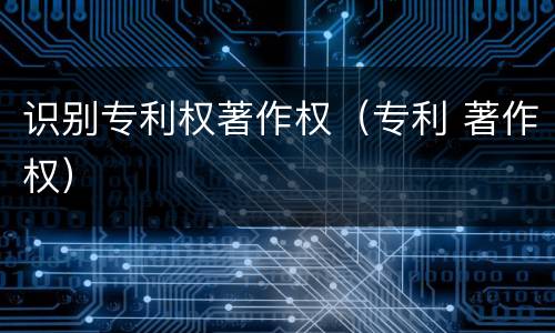 识别专利权著作权（专利 著作权）
