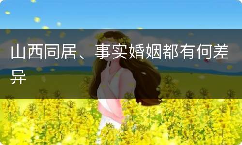 山西同居、事实婚姻都有何差异