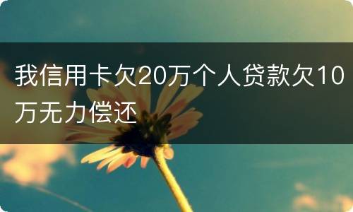 我信用卡欠20万个人贷款欠10万无力偿还