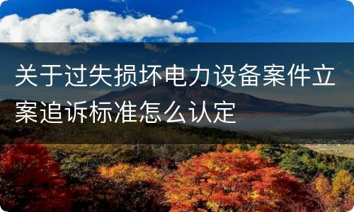 关于过失损坏电力设备案件立案追诉标准怎么认定