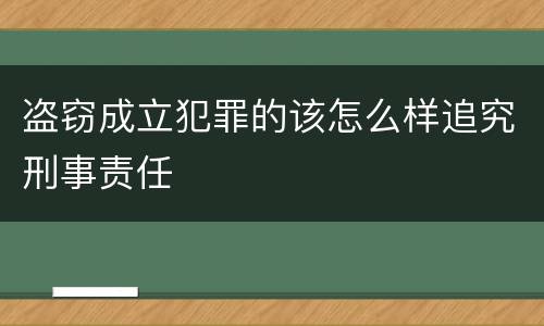 盗窃成立犯罪的该怎么样追究刑事责任