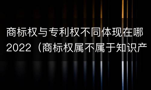 商标权与专利权不同体现在哪2022（商标权属不属于知识产权）
