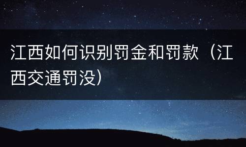江西如何识别罚金和罚款（江西交通罚没）