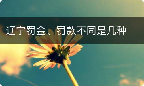辽宁罚金、罚款不同是几种