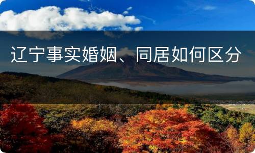 辽宁事实婚姻、同居如何区分