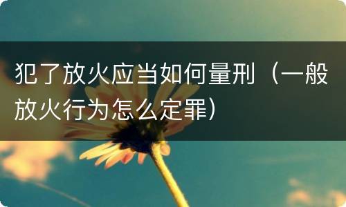 犯了放火应当如何量刑（一般放火行为怎么定罪）