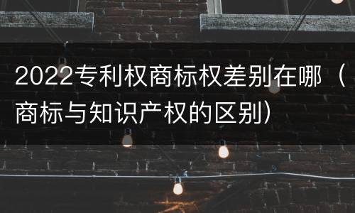2022专利权商标权差别在哪（商标与知识产权的区别）