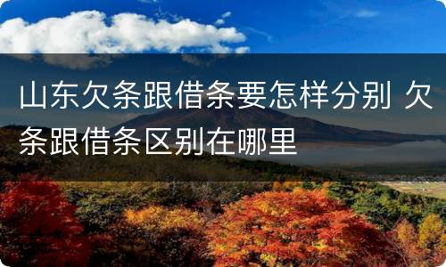 山东欠条跟借条要怎样分别 欠条跟借条区别在哪里