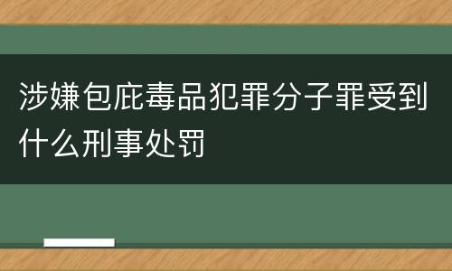涉嫌包庇毒品犯罪分子罪受到什么刑事处罚