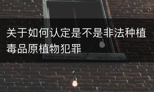 关于如何认定是不是非法种植毒品原植物犯罪