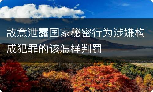 故意泄露国家秘密行为涉嫌构成犯罪的该怎样判罚