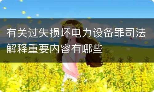 有关过失损坏电力设备罪司法解释重要内容有哪些