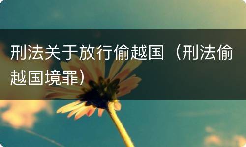 刑法关于放行偷越国（刑法偷越国境罪）