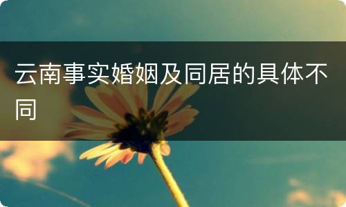 云南事实婚姻及同居的具体不同