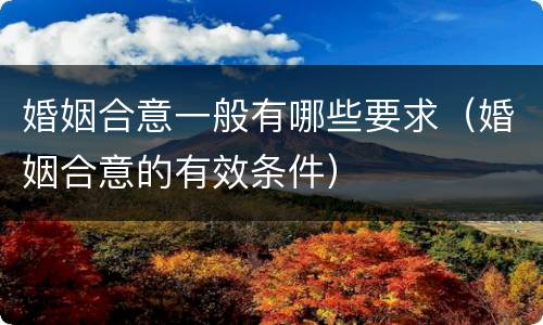 婚姻合意一般有哪些要求（婚姻合意的有效条件）