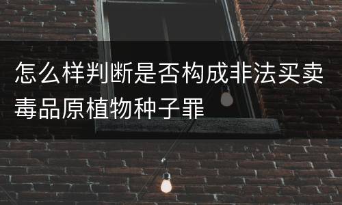 怎么样判断是否构成非法买卖毒品原植物种子罪