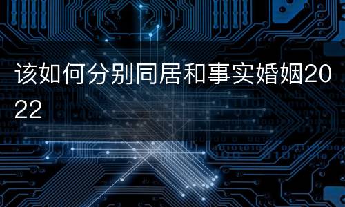 该如何分别同居和事实婚姻2022