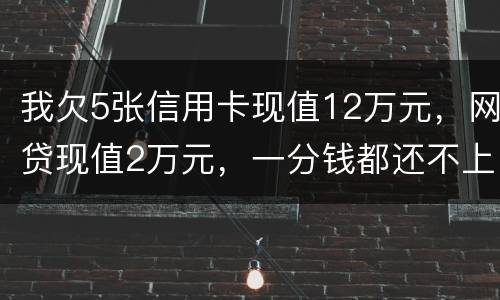 我欠5张信用卡现值12万元，网贷现值2万元，一分钱都还不上了，会判多少年