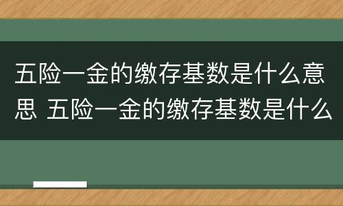 五险一金的缴存基数是什么意思 五险一金的缴存基数是什么意思