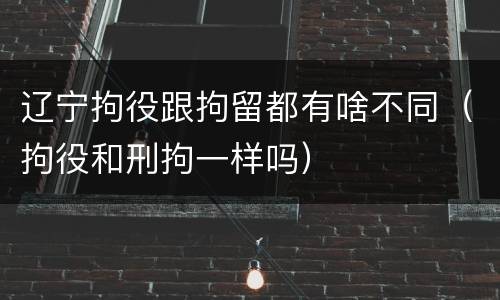 辽宁拘役跟拘留都有啥不同（拘役和刑拘一样吗）