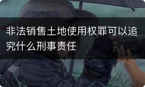 非法销售土地使用权罪可以追究什么刑事责任