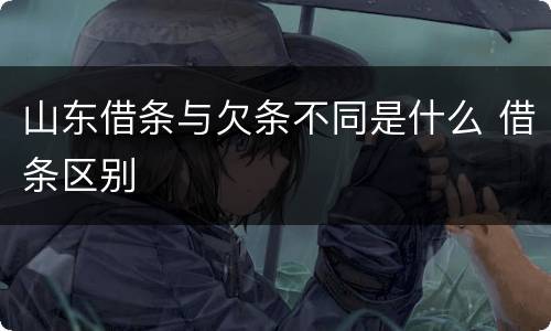 山东借条与欠条不同是什么 借条区别