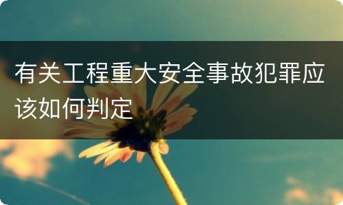 有关工程重大安全事故犯罪应该如何判定