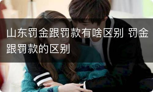 山东罚金跟罚款有啥区别 罚金跟罚款的区别