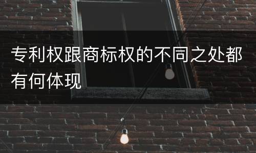 专利权跟商标权的不同之处都有何体现