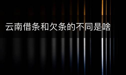 云南借条和欠条的不同是啥