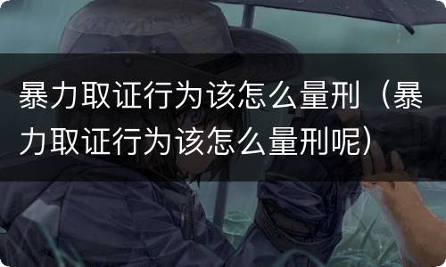 暴力取证行为该怎么量刑（暴力取证行为该怎么量刑呢）