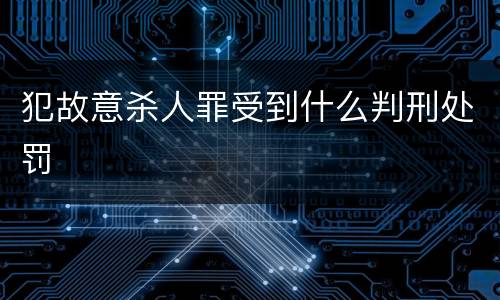 犯故意杀人罪受到什么判刑处罚