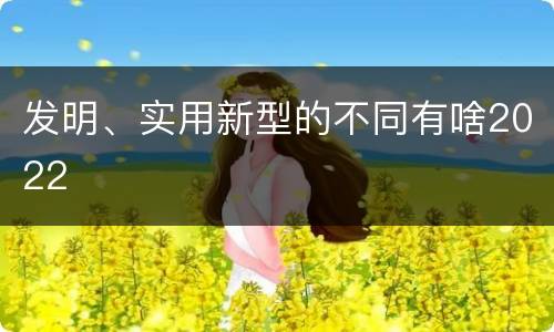 发明、实用新型的不同有啥2022