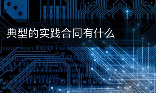典型的实践合同有什么