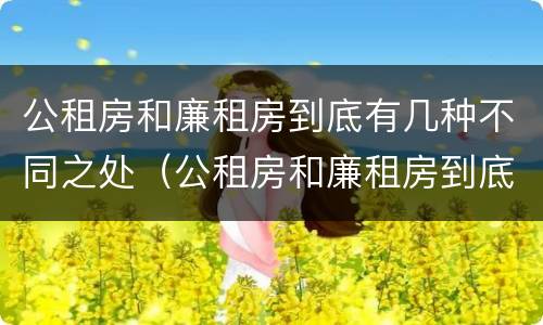 公租房和廉租房到底有几种不同之处（公租房和廉租房到底有几种不同之处呢）