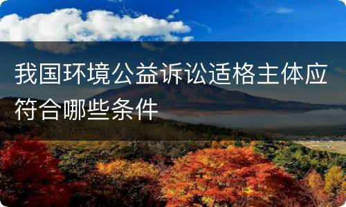 我国环境公益诉讼适格主体应符合哪些条件