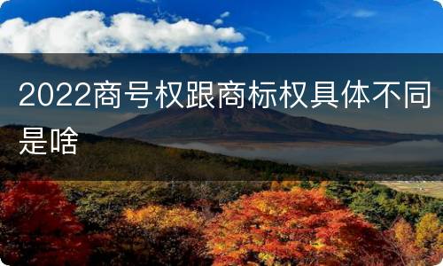 2022商号权跟商标权具体不同是啥