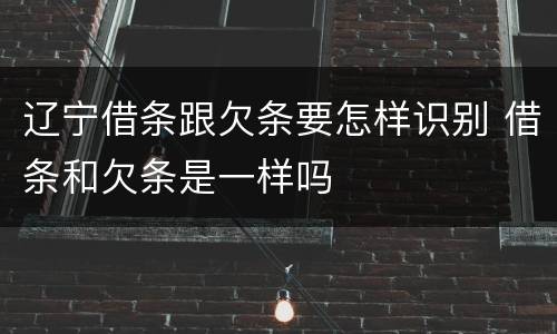 辽宁借条跟欠条要怎样识别 借条和欠条是一样吗