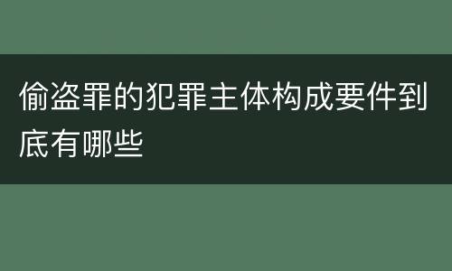 偷盗罪的犯罪主体构成要件到底有哪些