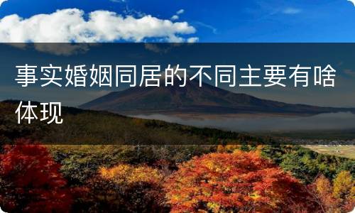 事实婚姻同居的不同主要有啥体现