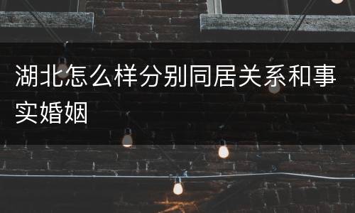 湖北怎么样分别同居关系和事实婚姻